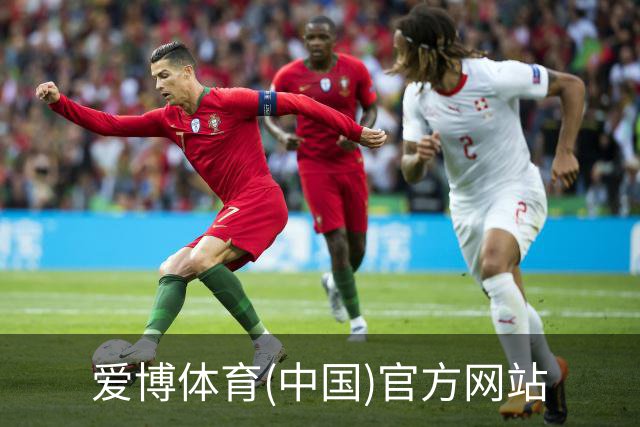 爱博体育(中国)官方网站简介
